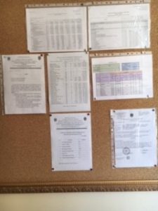 Transparența activității Instituției de educație timpurie nr. 210