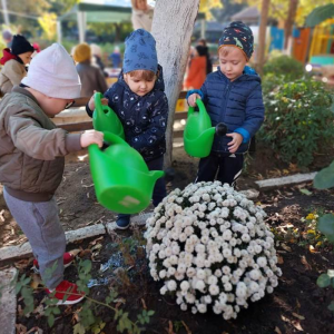 La plantat flori în curtea grădiniței